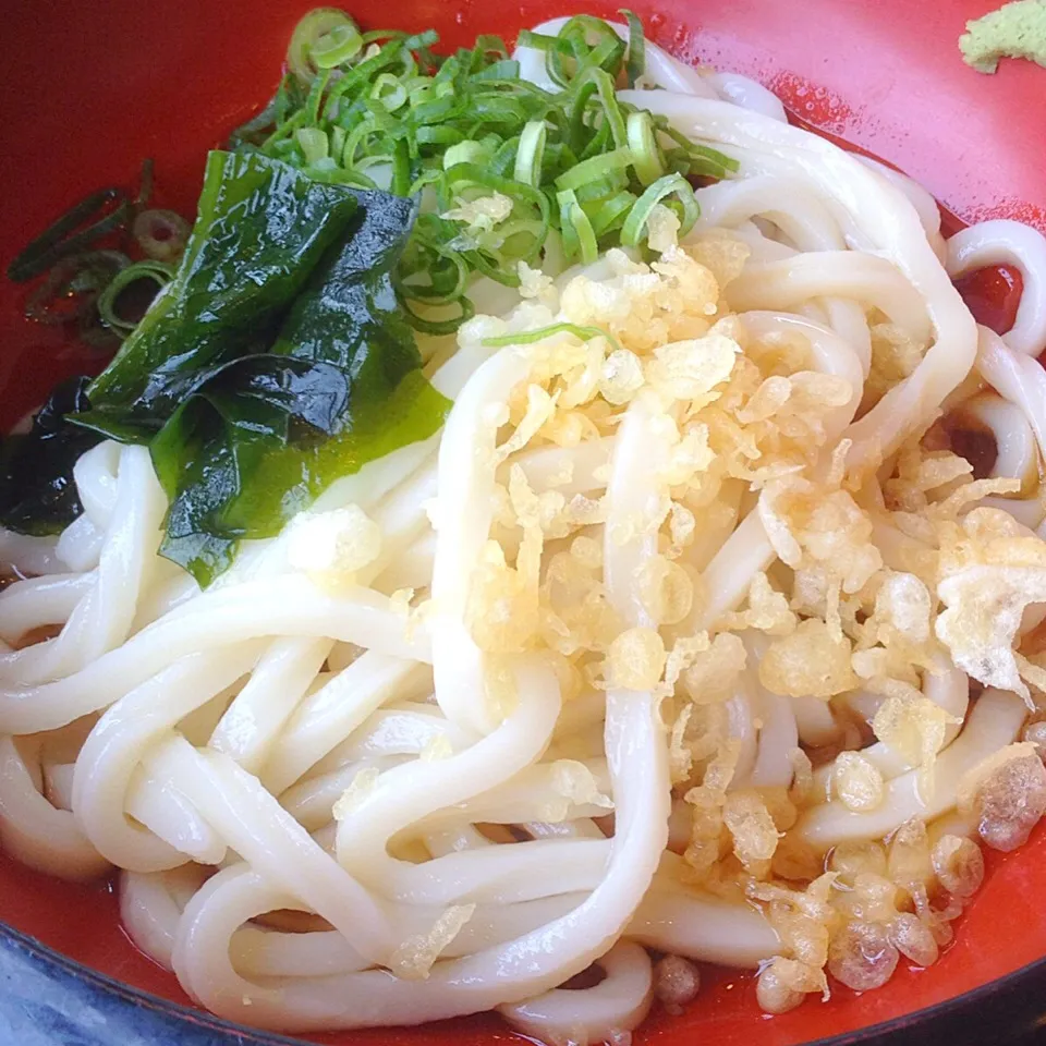 冷やしぶっかけうどん💦|梅花権現さん