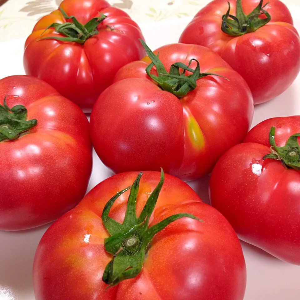 またまたトマト🍅|デミさん