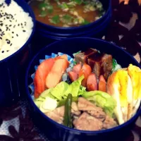 5.8 旦那さんお弁当|bouさん