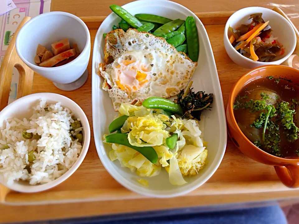 春のお昼ご飯|かわちさん