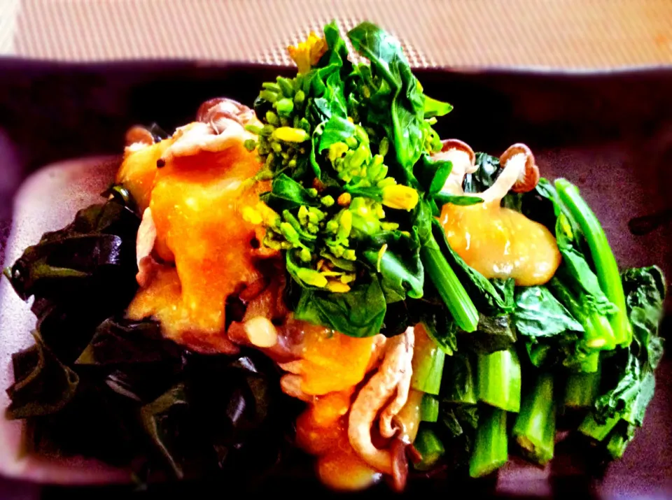 Japanese spring salad: canola flowers, wakame seaweed and shimeji mushrooms with miso-mustard dressing|Kirk Awiamさん