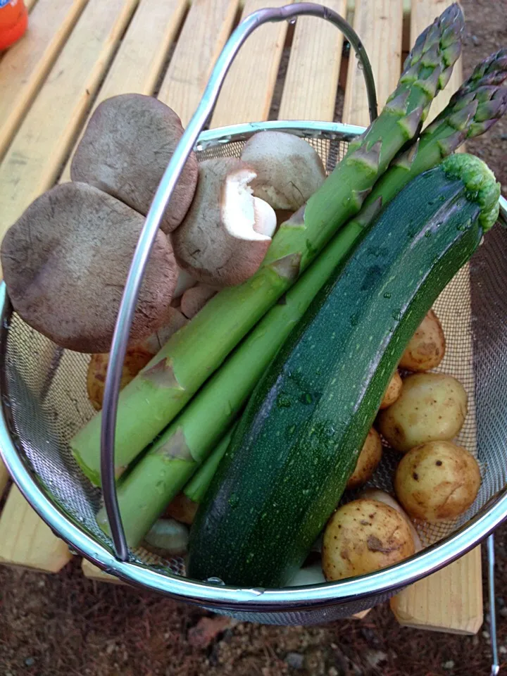 キャンプでBBQ♪|みっさんさん