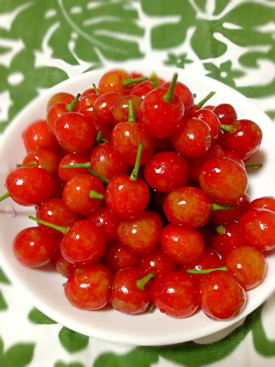 さくらんぼ🍒|あくびさん