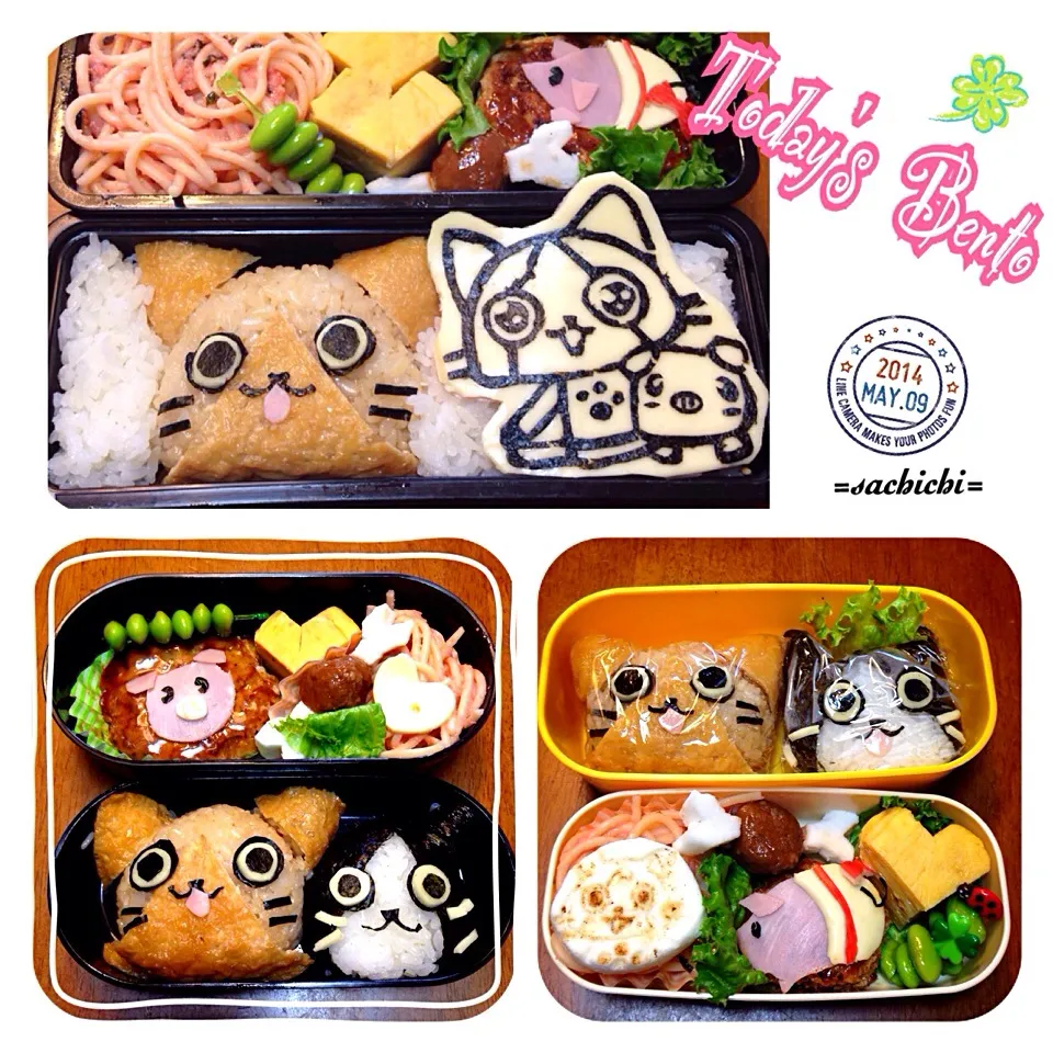 Today's Bento!!|Sachichi♪さん