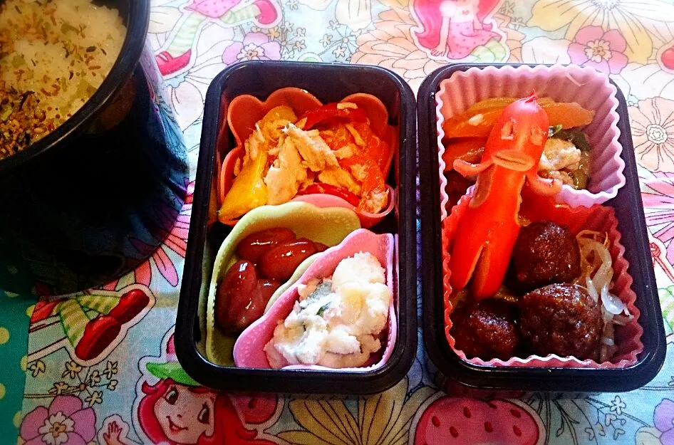 Snapdishの料理写真:主人のお弁当|はるなさん