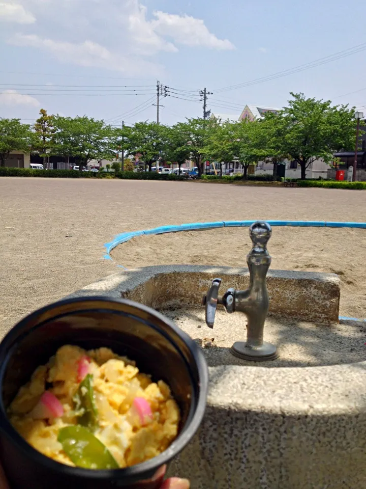 お弁当5月9日 ☀|あくびさん