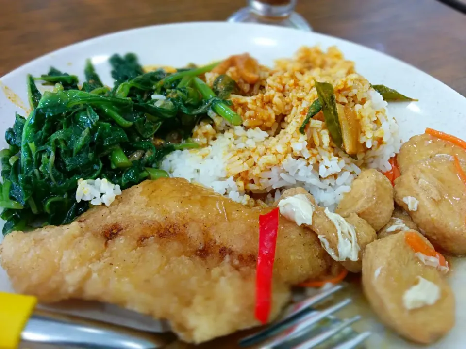 hawker fare: rice fish and toufu on curry|Ernさん