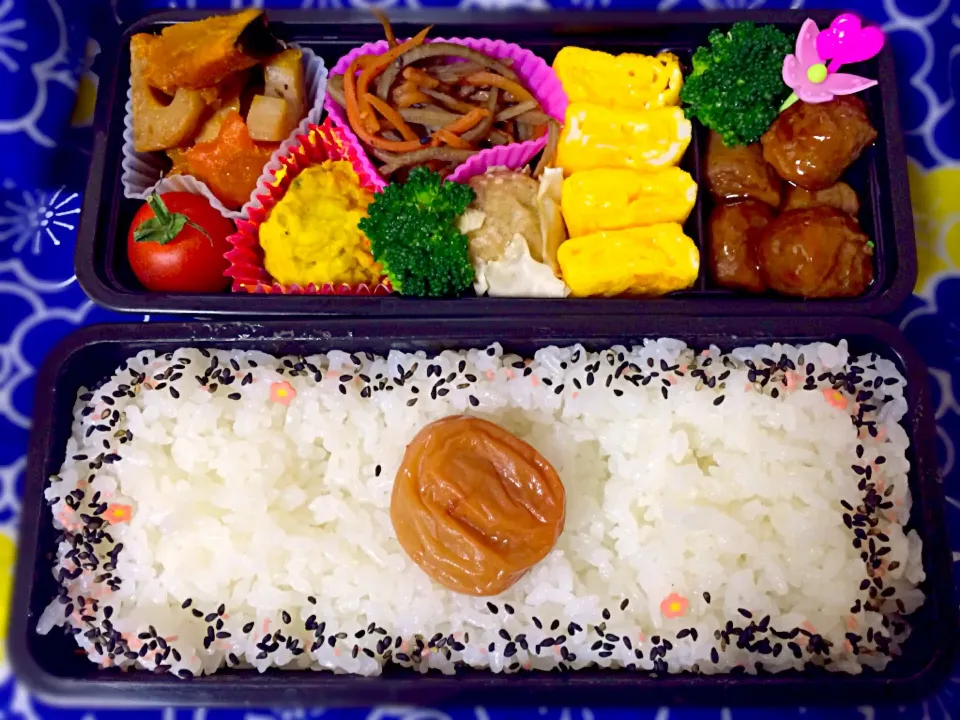 5月9日お弁当|つんさん