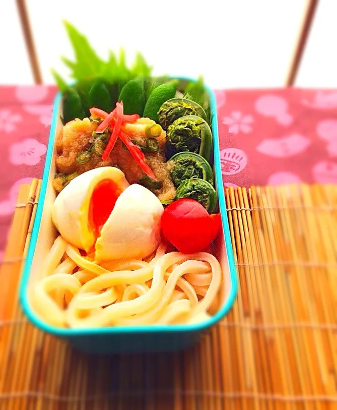 本日のお弁当  おろしだれうどんwith昨日の鶏みぞれ煮|砂雪さん