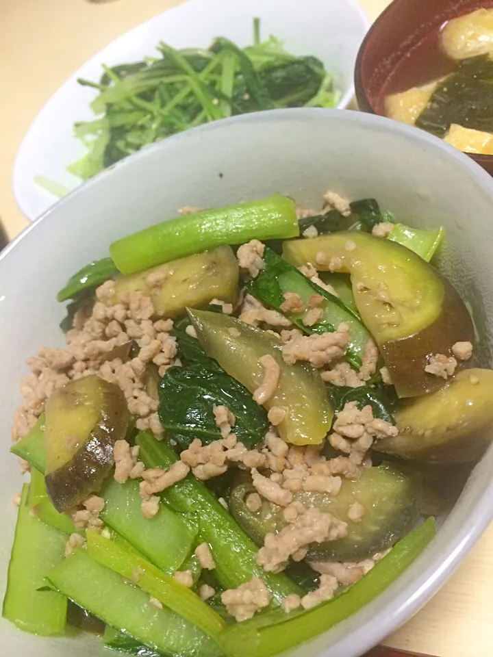 小松菜とナスのそぼろあんかけ丼、油揚げとワカメの味噌汁、水菜のお浸し|はしもさん