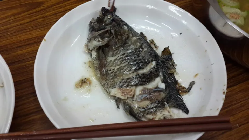 煎魚|謝慧琪さん