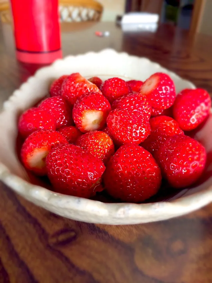 朝摘み苺|morimi32さん