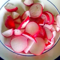 Sliced radishes|Raganさん