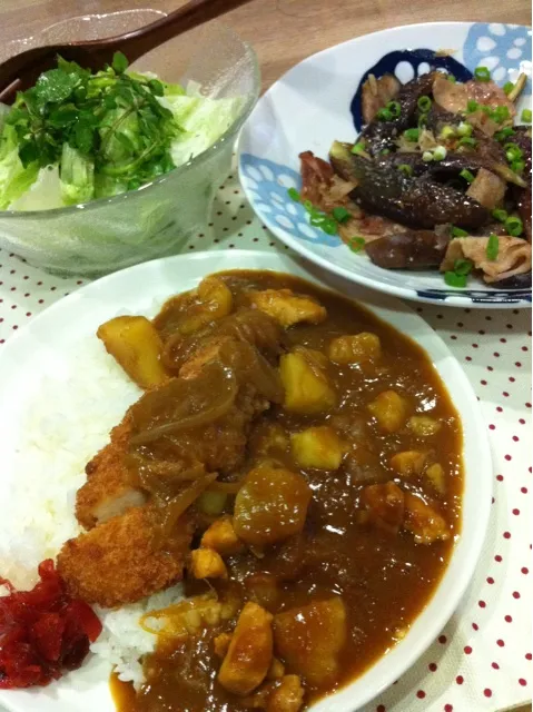 Snapdishの料理写真:ささみカツカレー・豚バラと茄子炒めポン酢かけ・クレソンとレタスのサラダ|まーままさん