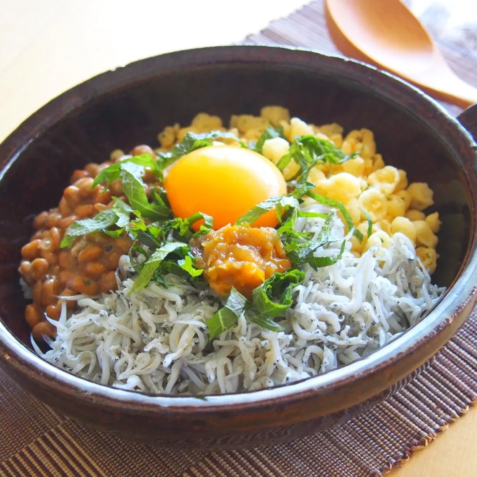 シラスはやはりシラス丼|らいちさん