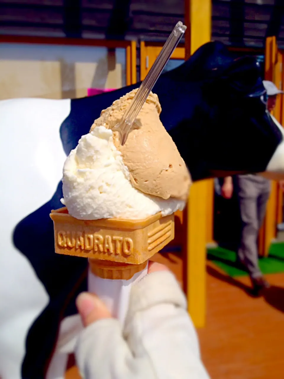 エルフィン元山牧場牛乳 アイスクリーム モカ・バナナミルク|カウンター嬢さん