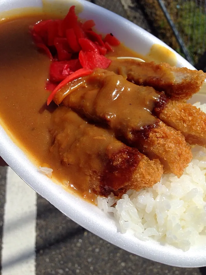 本日のサーキット飯|うめこさん