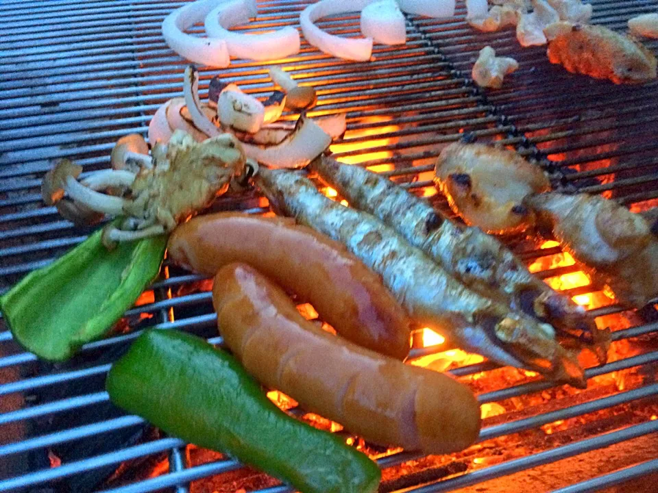 Snapdishの料理写真:庭でBBQ|びーさん