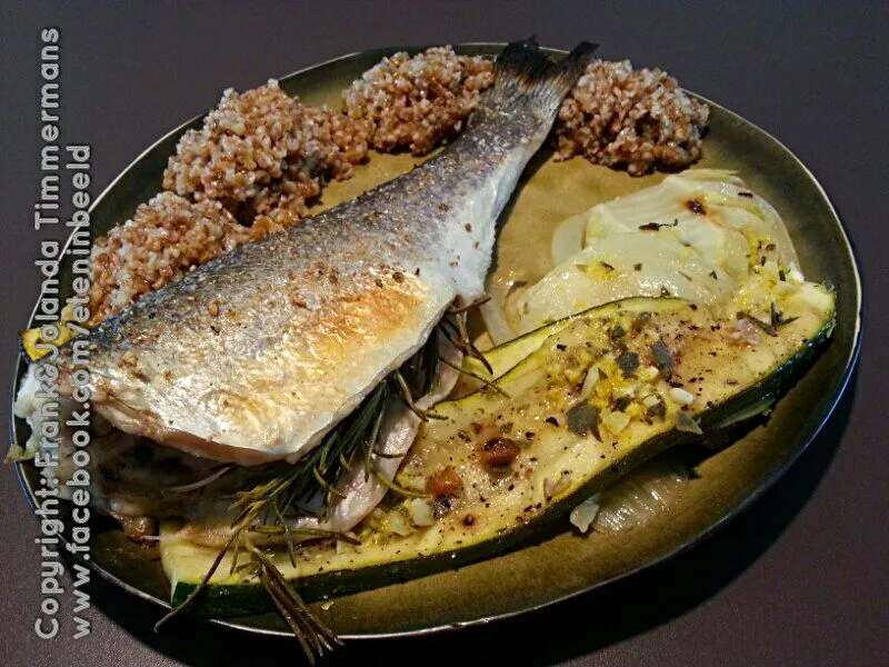 European seabass|Frank&Jolanda - Eteninbeeldさん