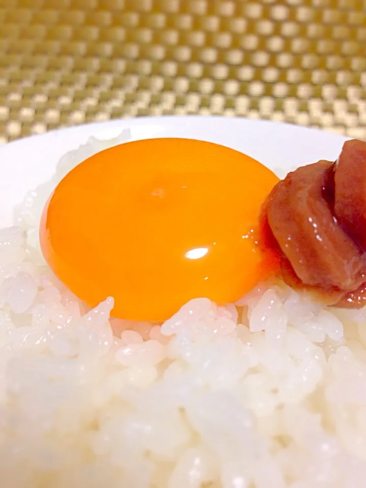 【今日のたまごかけご飯】たまご×ねり梅|かとう ひろみさん