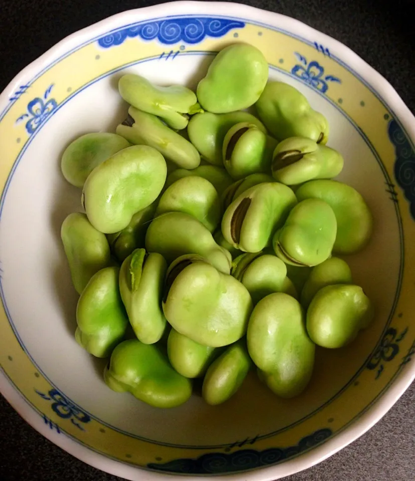 初夏の愉しみ…空豆茹でただけ(*^_^*)コレで￥480は高くない？|Norifumi Hosogayaさん