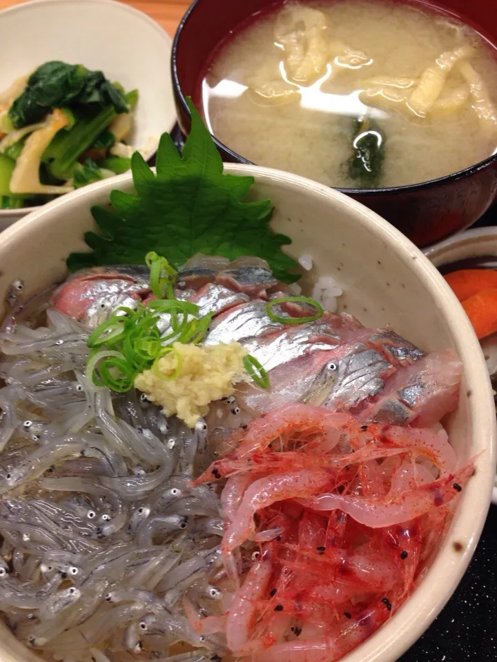 三色丼 沼津飛鳥にて|綾部雅一さん