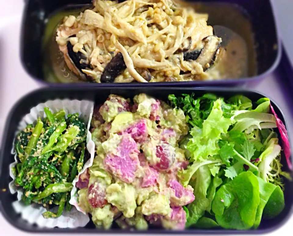 Today's lunch - salmon with miso butter sauce, spinach goma-ae, sweet potato avocado salad|coxiella24さん