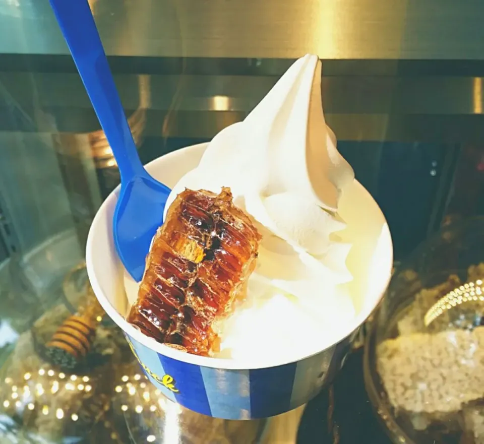 Honey Chips Ice cream|Jihye Jsさん