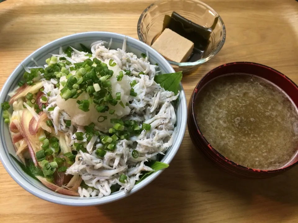 5/12/2014 釜揚げしらす丼(^｡^)|Jean Nobyさん