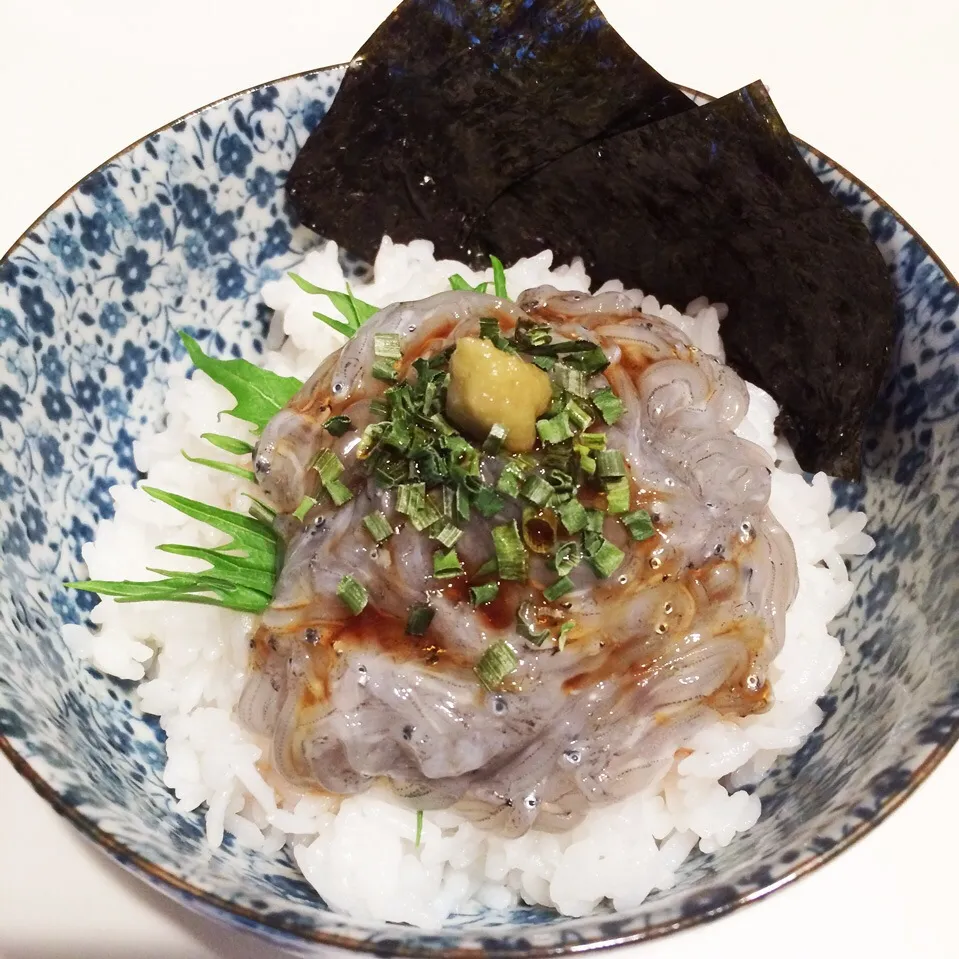 生しらす丼|ゆたぽんさん