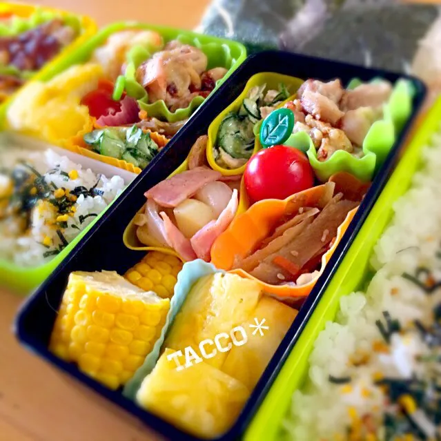 Today's Lunch☆5/13|tacco*さん