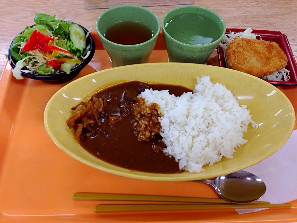 チキンカツとカレー(^○^)|すかラインさん