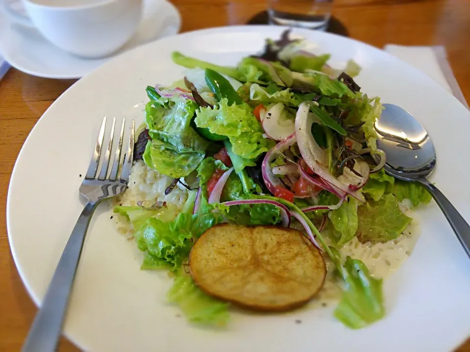 オーガニックランチ|Kenji Hishikawaさん