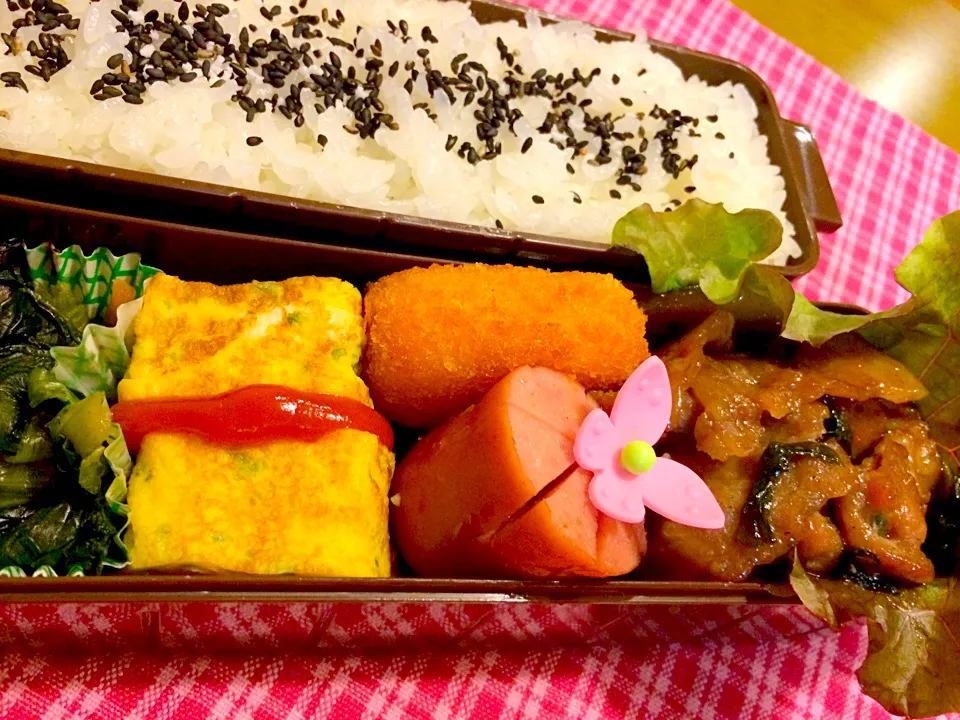 Snapdishの料理写真:ダンナさまお弁当🍱🍱|かずみさん