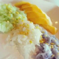 Sticky Rice with Mango|Sorcel Evernightさん