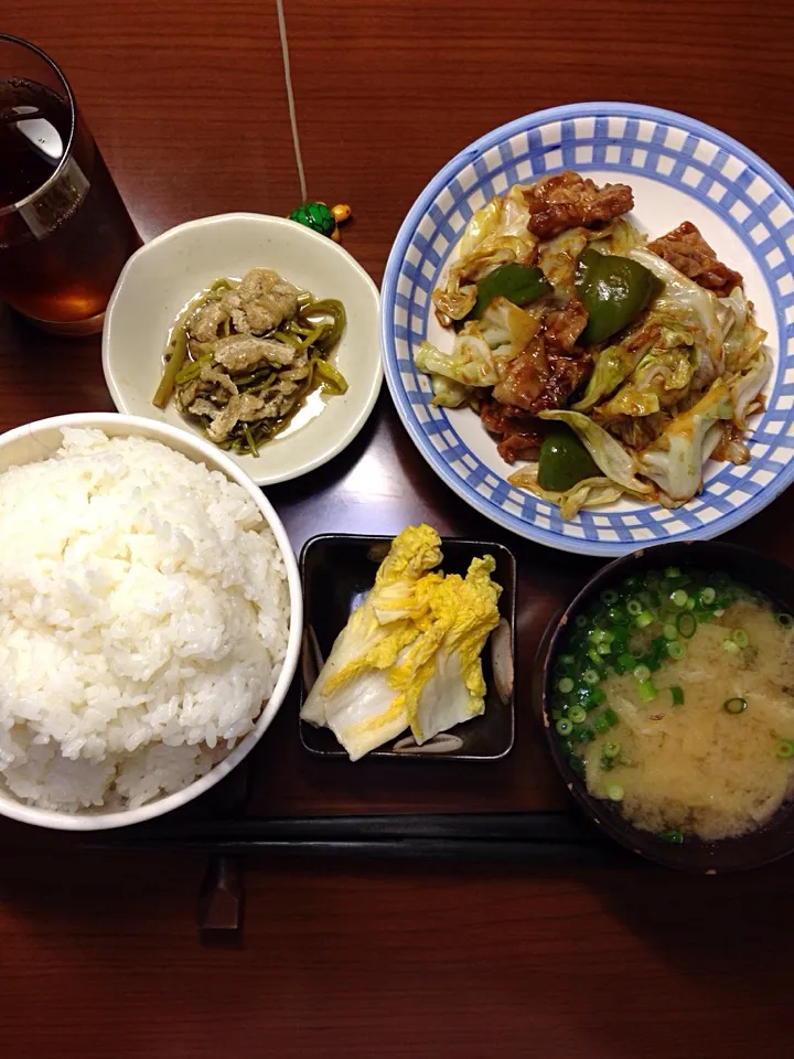 Snapdishの料理写真:晩ご飯|ten.gさん