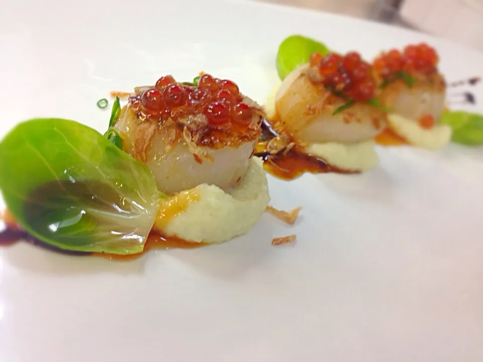 Japanese Scallops with Celeriac and Wasabi Purée|Nooei Martensさん