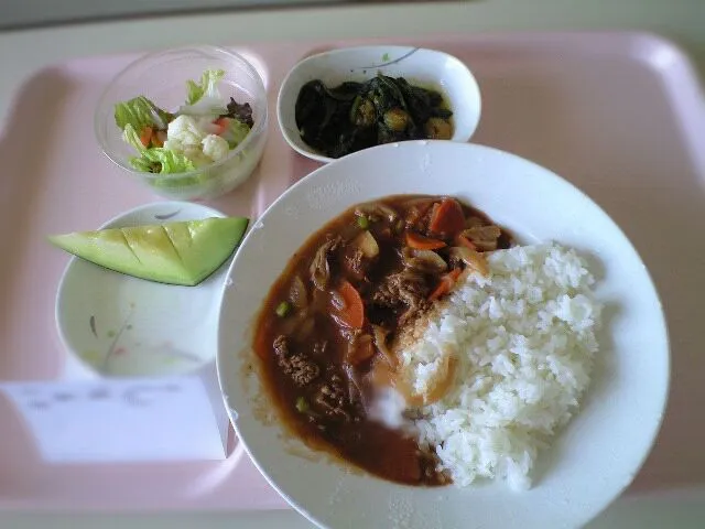 ハヤシな入院食|まりもあめさん