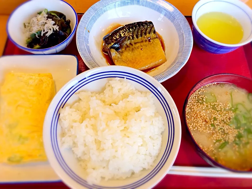 まいどおおきに食堂ランチ|yukoさん