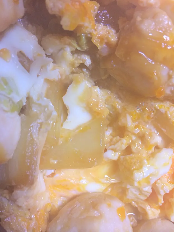 白菜入り親子丼|シンさん