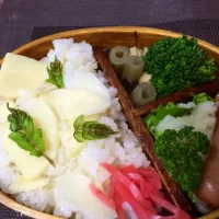 竹の子ご飯弁当|Mutsumi Nakamuraさん