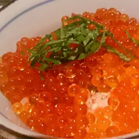 Snapdishの料理写真:名物ますこ丼、いくら丼じゃないのよ。@またはり|satoshi kuboさん