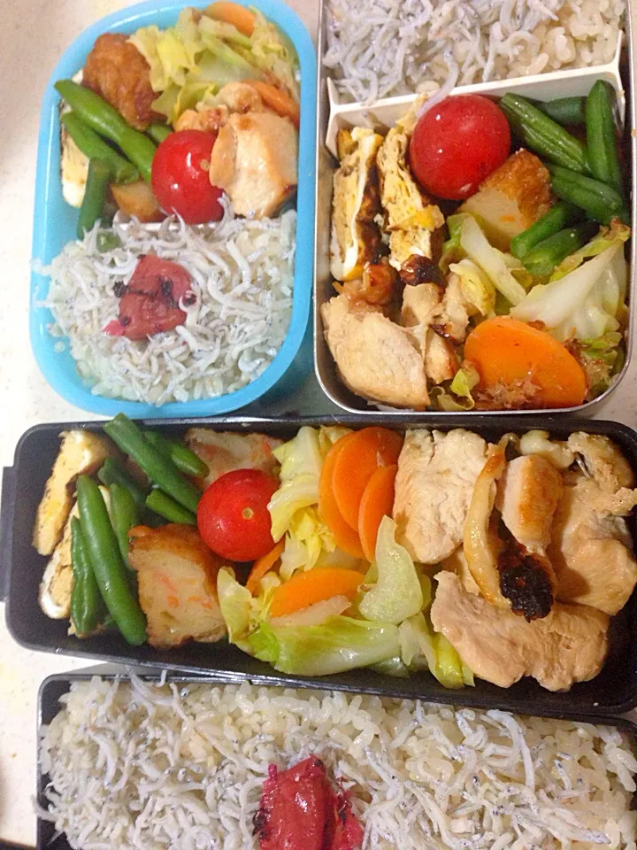 しらす干しご飯弁当|ゆかりすさん