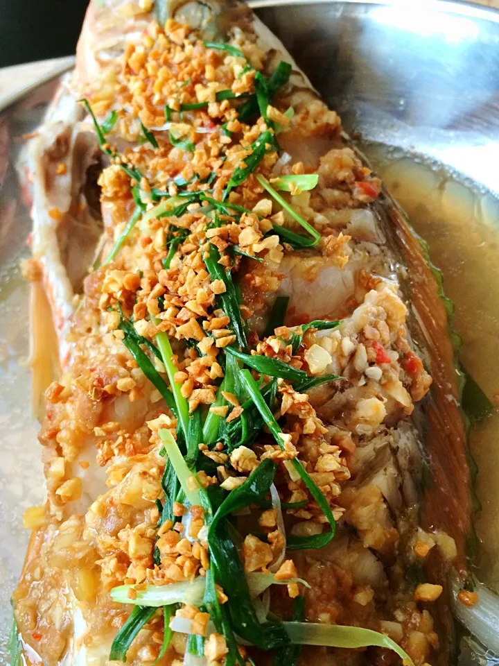 Steam parrot fish with chilli, fermented soy bean & crispy garlic|12Dragonさん