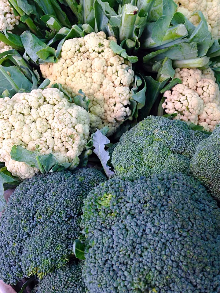 Broccoli and cauliflower|ziadさん