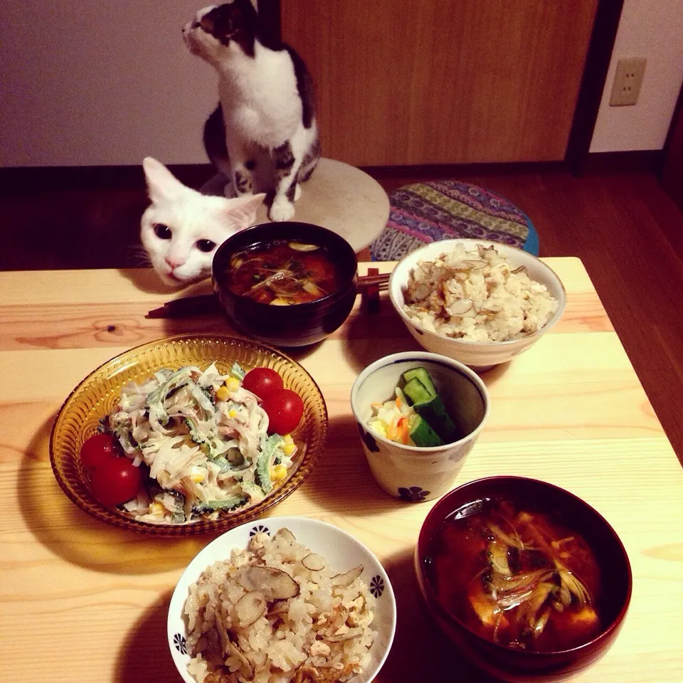 新ゴボウの炊き込みご飯。
ゴーヤ・新玉ネギ・ミョウガのツナマヨサラダ。赤出しお味噌。|naouさん