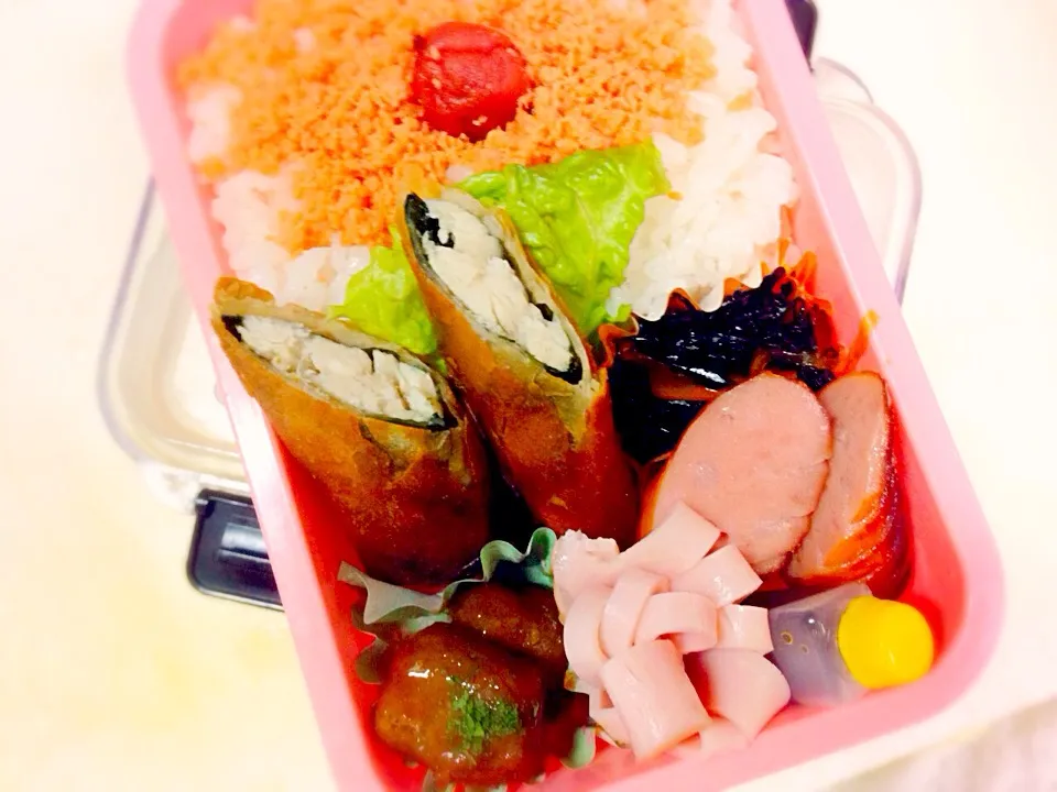 Snapdishの料理写真:5月18日お弁当|ちるのさん