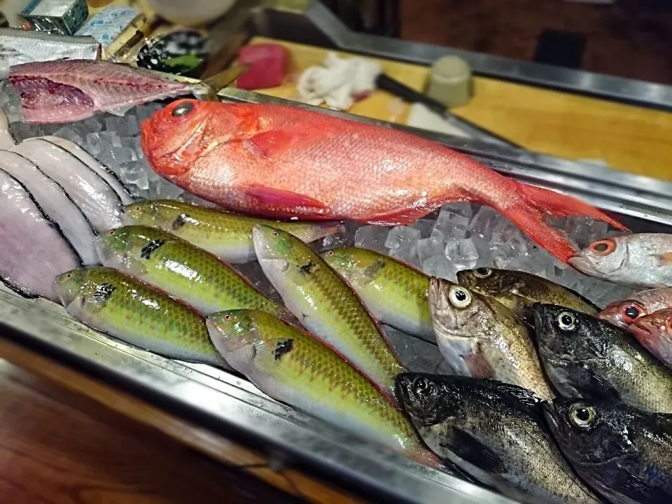 新鮮なお魚で(=ﾟωﾟ)ﾉC□☆□Dヽ(ﾟωﾟ=)カンパーイ!|yokoさん