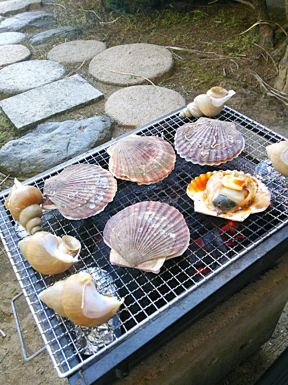 今日はバーベキュー＼( 'ω')／|陽菜さん