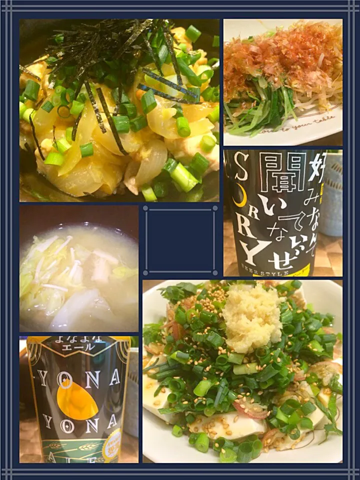 Snapdishの料理写真:今夜は辛子醤油で頂く納豆親子丼、薬味たっぷり冷奴、水菜とモヤシのお浸し、春キャベツの味噌汁………よなよなエールと前略の黒五で|gintanさん